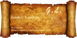 Gaebl Lantos névjegykártya